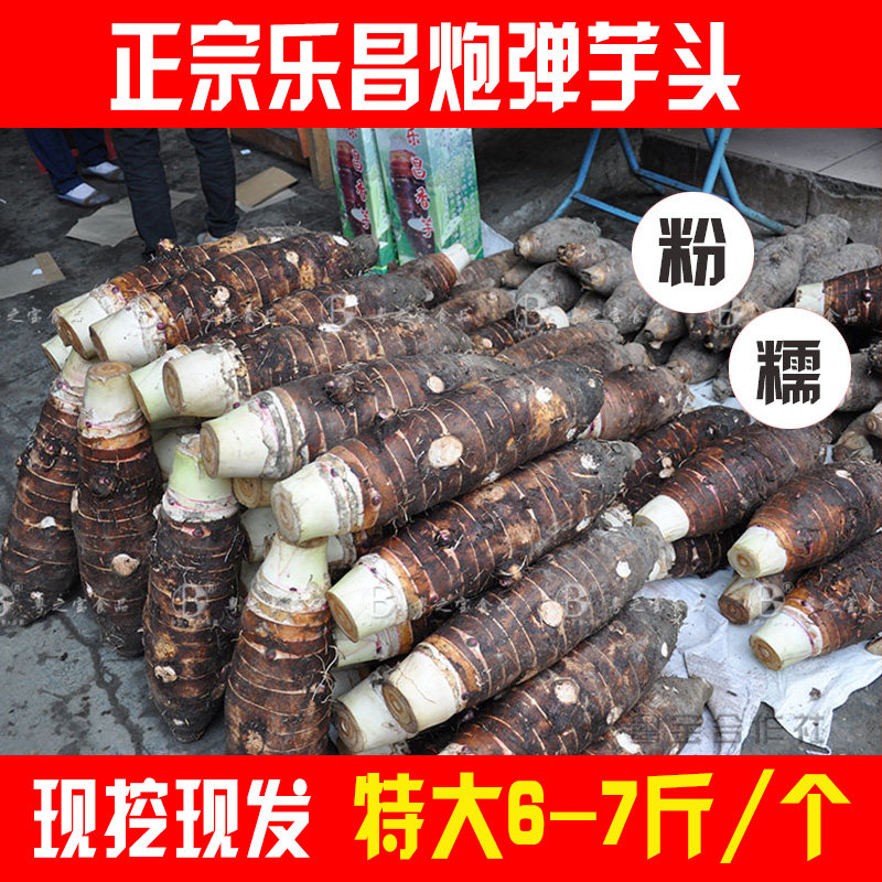 特大6-7斤一个 正宗张溪香芋韶关乐昌特产炮弹芋头新鲜槟榔芋头