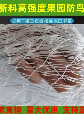 全新尼龙线防鸟网果园果树防鸟网樱桃葡萄草莓防鸟网鱼虾塘防护网