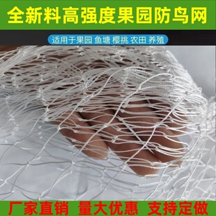 全新尼龙线防鸟网果园果树防鸟网樱桃葡萄草莓防鸟网鱼虾塘防护网