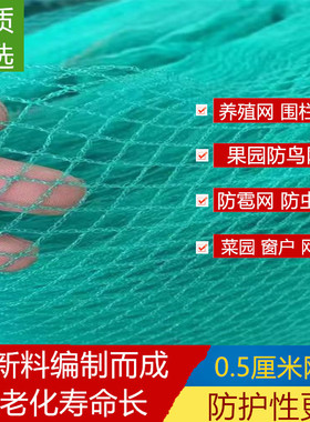 养殖防鸟网家禽菜园鱼塘围栏网果园果树防鸟网防虫网网箱渔网