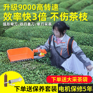 草莓修枝茶树茶叶修剪机 无刷电动采茶机单人24V小型绿篱机充电式