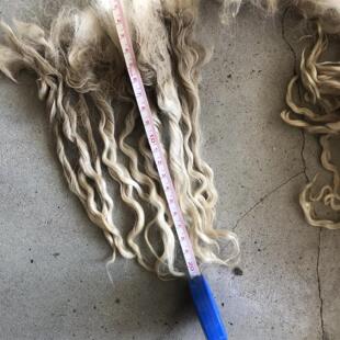 马海毛原毛散毛非捆毛安哥拉山羊bjd发束发排材料娃娃假发非精梳