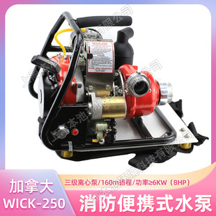 森林高扬程水泵 水泵三级离心泵背负式 加拿大WICK 250消防便携式