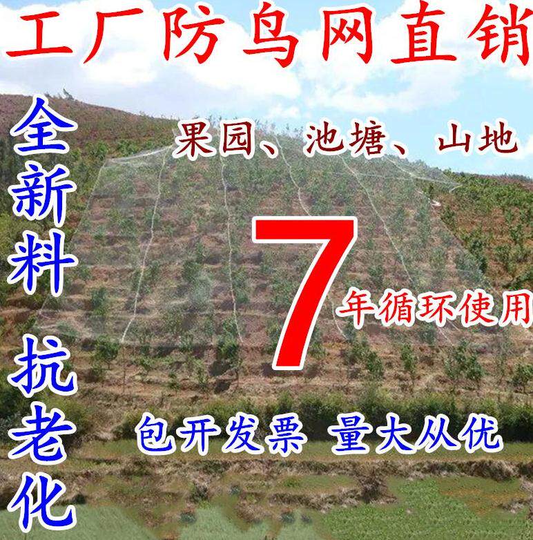 203 Nylon mesh Loach Orchard Wolfberry 40 Cherry Tree Guardrail net Anti-bird netting Strawberry Park Fishing netin the Flower delivery/Flowers simulation/Plants gardening , Gardening supplies , Other Garden Supplies  category - from Buy2taobao.com to provide professional Taobao agent buy service