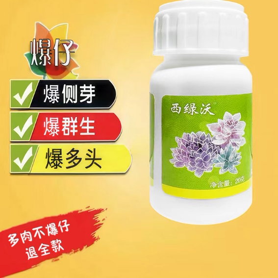 崽多多（西绿沃）20克多肉植物无机肥