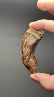 天然野生沉水级越南广南沉香原材手把件老料扭结熟结原木 25克