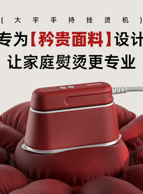 大宇手持挂烫机2024新款熨烫机电熨斗家用手持小型蒸汽烫衣服宿舍