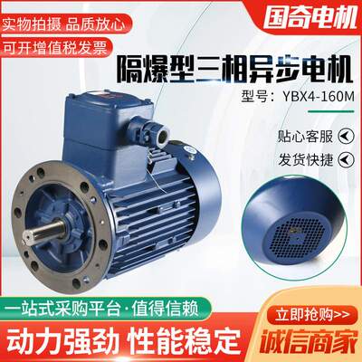 YBX4-160M隔爆型三相异步电机15KW立式卧式二级能效电机