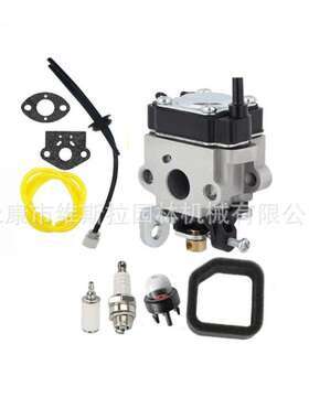 TCG-22EAB树篱修剪机化油器WYC-22 6696550过滤器零件套件