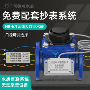 IoT无线远传智能水 可拆卸法兰大口径水表 常德牌工业螺翼式