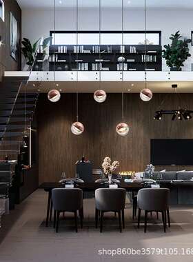 造心家具|圆球状 简约丹麦设计师可35°转向 楼道餐厅床头小吊灯