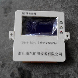 120A 浙江浦东煤矿用防爆保护装 I型中文保护器DBH 置 80A DBH