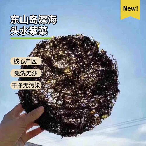 东山岛深海·头水紫菜免洗无沙
