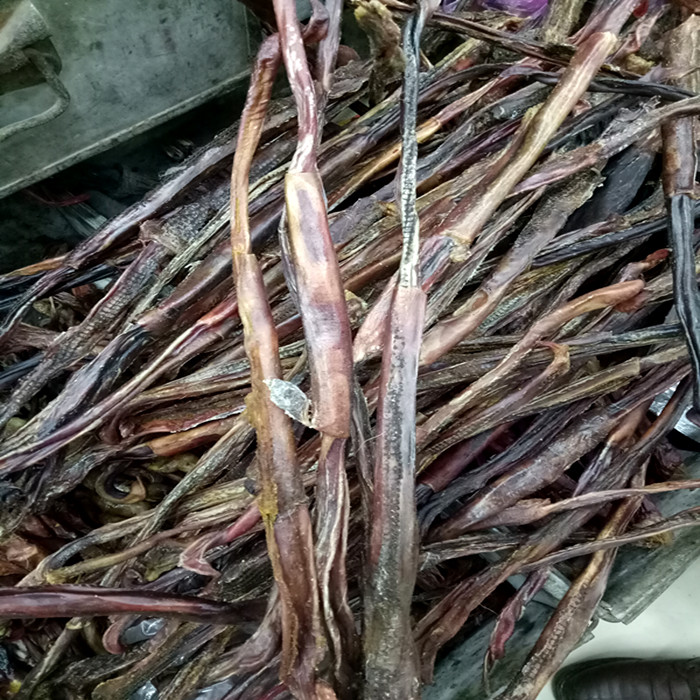 驴鞭中药材5条包邮