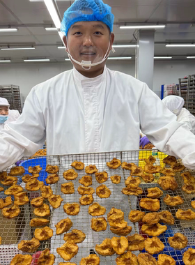 【拍2减5元 0添加】山东烟台栖霞苹果干 三蒸三烘  有大有小