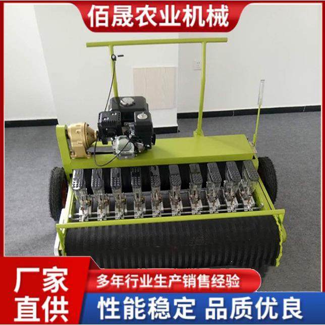 手推式蔬菜播种机新型蔬菜白菜萝卜香菜大葱芹菜点播机,农机/农具/农膜,播种栽苗器/地膜机,淘宝优惠券,粉丝福利购,淘宝优惠卷