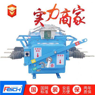 10kv户外高压真空断路器FZW28-12F/630智能分界开关FZW28VSP5-12