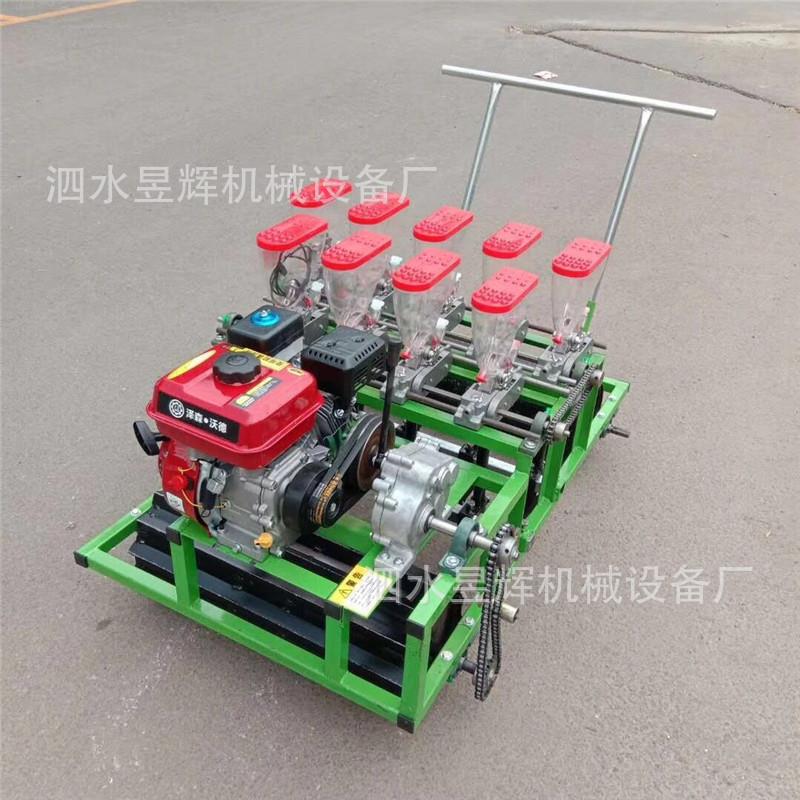 蔬菜种植小型点播机可定多行油菜香菜播种机好操作点播整齐