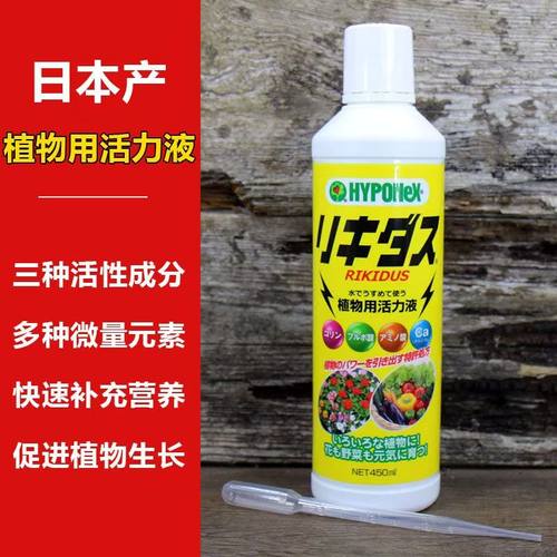 日本进口花宝活力素花卉绿植物