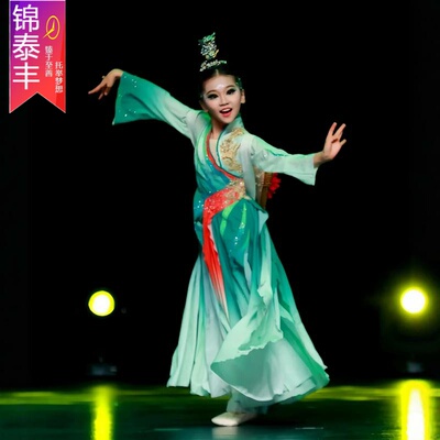 中国风古典舞蹈飘逸背篓演出服装