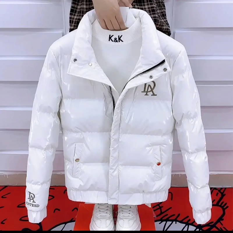 冬季外套男刺绣亮面立领潮牌棉衣
