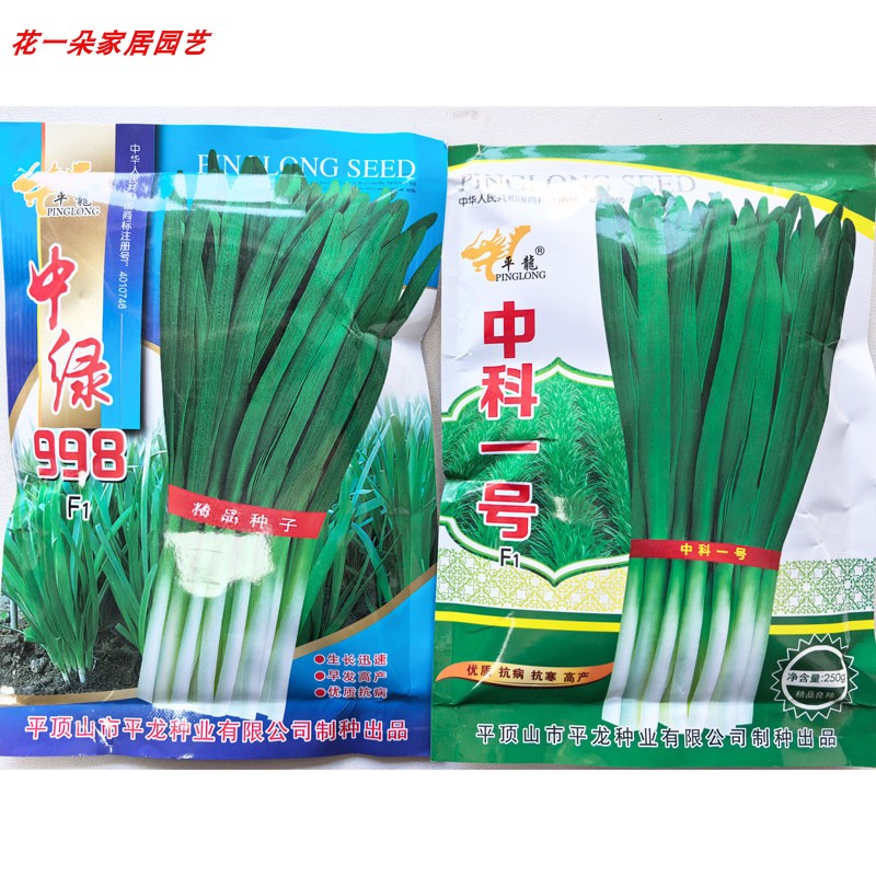 中绿998高产耐寒不休眠韭菜籽