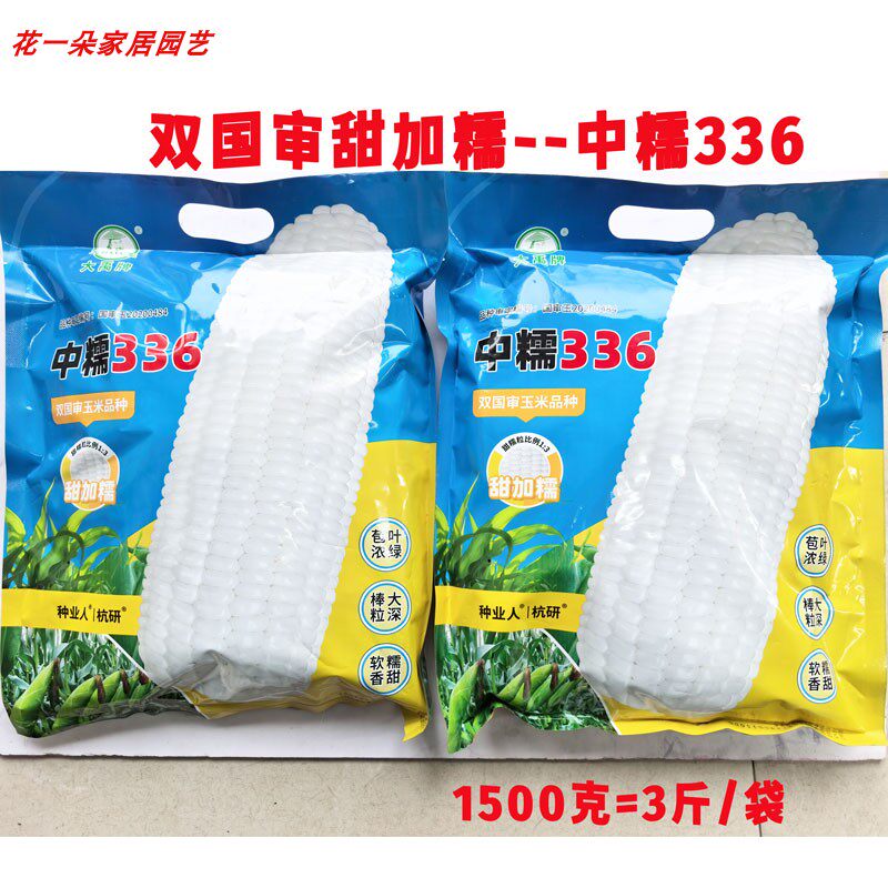 中糯336白甜糯玉米种子3斤