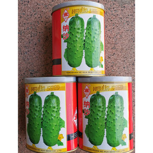 纳沙荷兰水果黄瓜种籽早熟高产春秋播短黄瓜种水果黄瓜种子