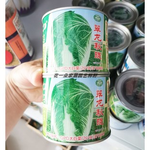 中茂翠龙秋晓大白菜种籽高产抗病耐寒秋冬炮弹型蔬菜胶东白菜种子