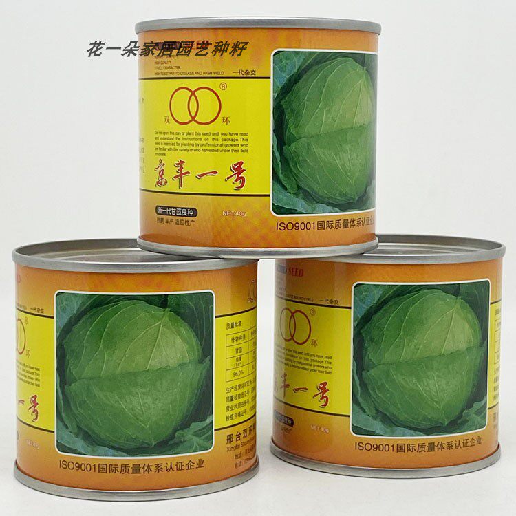 双环京丰一号甘蓝种籽高产耐寒早熟春秋扁圆形大包菜种子40克