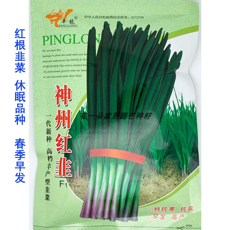 平龙神州红韭韭菜种籽高产抗病早发休眠红根宽叶深绿韭菜种子