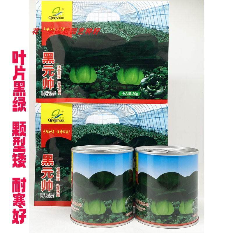 黑亮矮脚苏州青种青硕