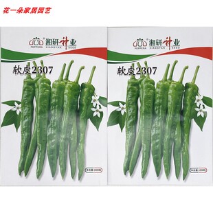 湘研 软皮2307辣椒种籽早熟薄皮香辣软皮辣椒小牛角椒种子