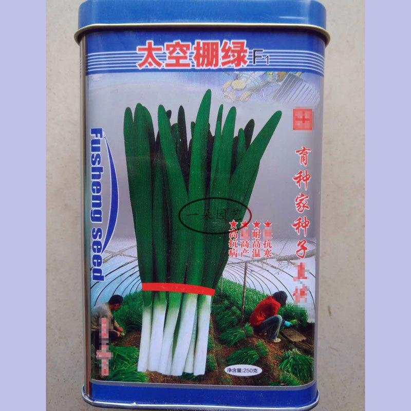 富生太空棚绿韭菜种子高产耐寒抗病不休眠无干尖四季播韭菜种子