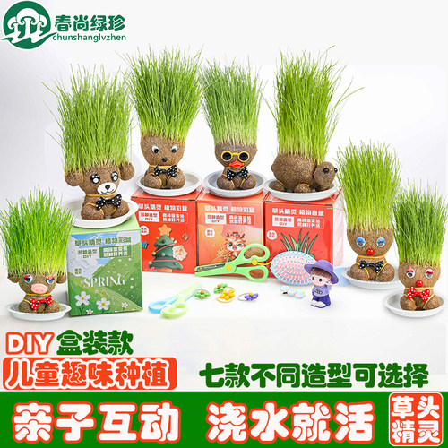 绿珍长草娃娃儿童趣味种植