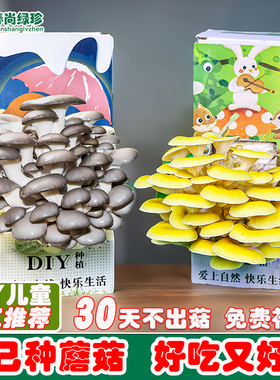 【蘑菇种植盒】菌包菌种种植包家种室内家庭菌菇包儿童趣味手工