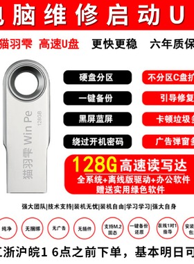 系统u盘顺丰电脑重装一键安装机win10专业7旗舰w11纯净pe启动