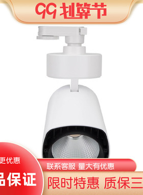 雷士照明 TLED319N 35/50W COB LED 路轨轨道导轨射灯服装专卖店