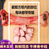 牛骨髓新鲜牛骨中段黄牛筒骨新鲜牛棒骨牛腿骨中段烧烤食材 1000g