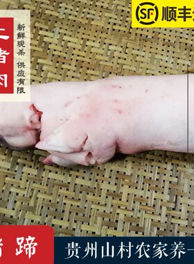 贵州土猪肉老丈家猪蹄