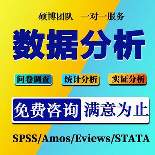 SPSS数据代分析帮做stata实证python统计meta医学R语言eviews处理