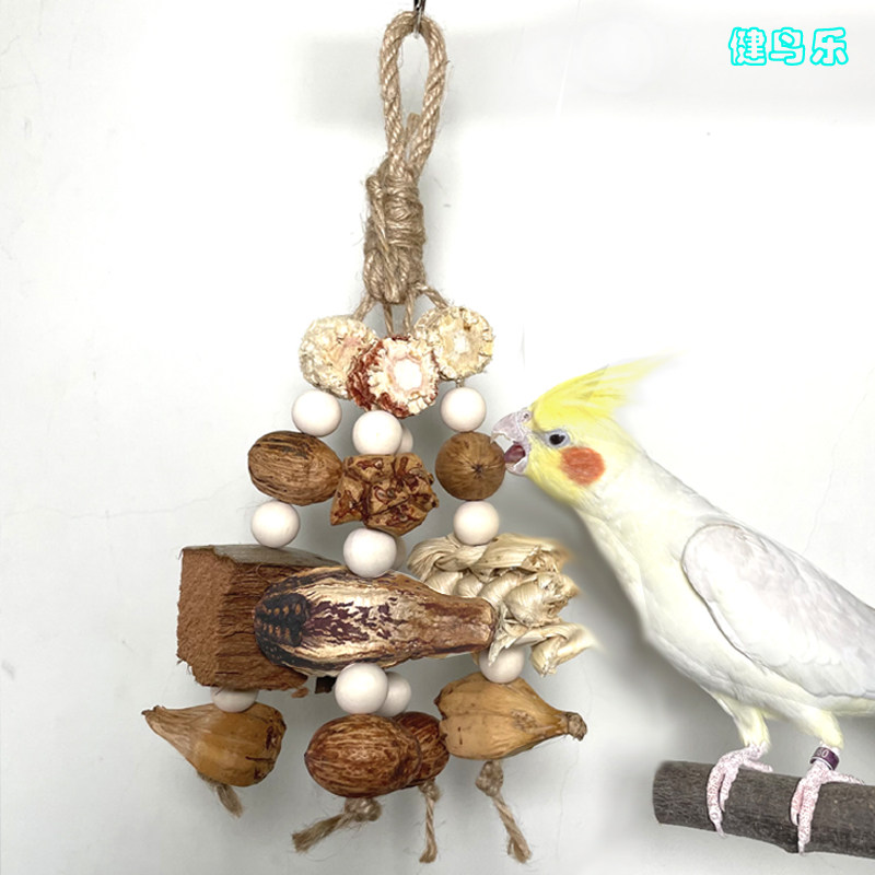 中小型宠物玉米杨桃松果椰子野果天然啃咬玩具串虎皮牡丹玄风用品,宠物/宠物食品及用品,鸟玩具,淘宝优惠券,粉丝福利购,淘宝优惠卷