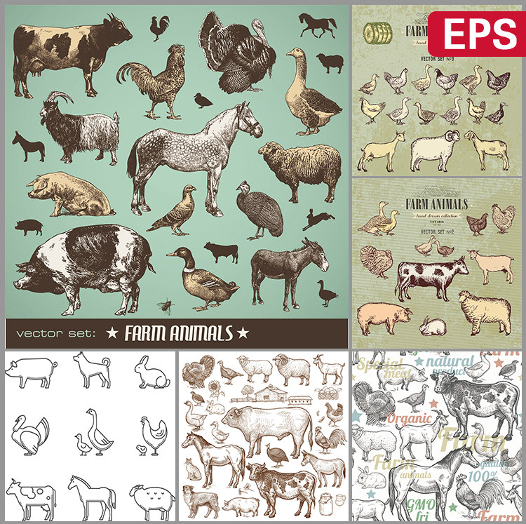 绿色有机农场牧场家禽家畜土鸡鸭鹅猪牛羊狗马兔eps矢量设计素材