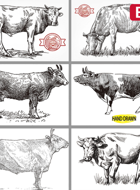 黑色线描手绘绿色有机牧场农场奶牛奶吃草牛肉EPS矢量设计素材