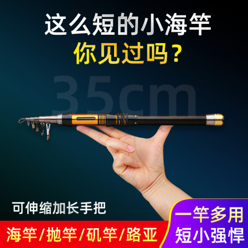 迷你小海竿便携式高碳