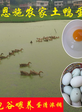 湖北恩施新鲜鸭蛋 农家散养土鸭蛋青皮壳鸭子鸭卵鸭春30枚