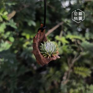 空凤故事杂交会员专链