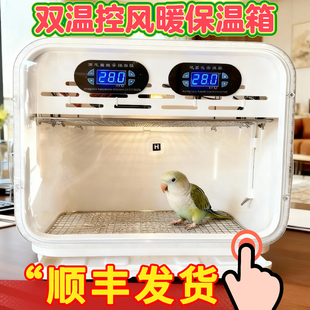 鹦鹉牡丹和尚风暖保温箱牡丹玄风小太阳0天手养幼鸟雏鸟半毛恒温