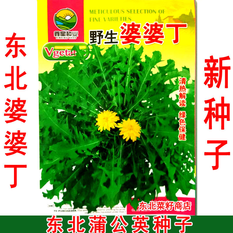 新籽 东北婆婆丁种子 露地菜园 多年生野生蒲公英种子,农用物资,蔬菜种子/种苗,淘宝优惠券,粉丝福利购,淘宝优惠卷