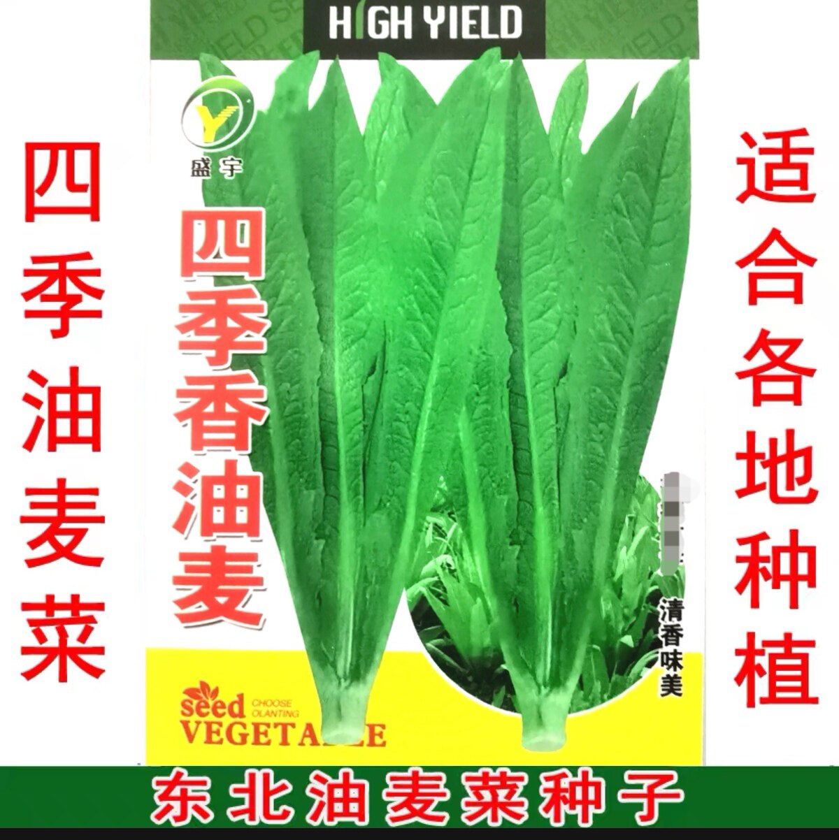 东北蔬菜种子5件包邮 四季清香家庭园艺种子